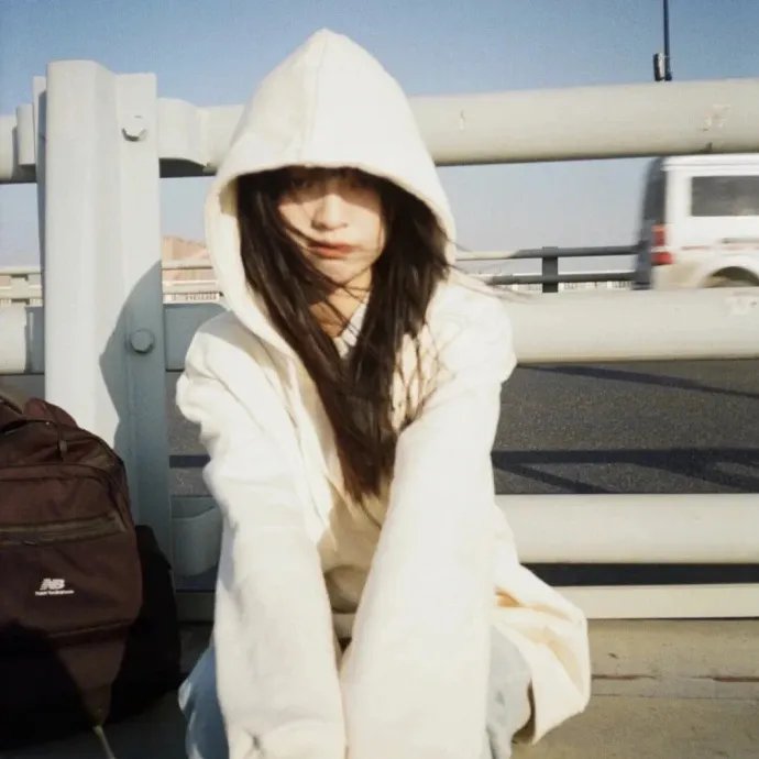 容易受伤的玫瑰